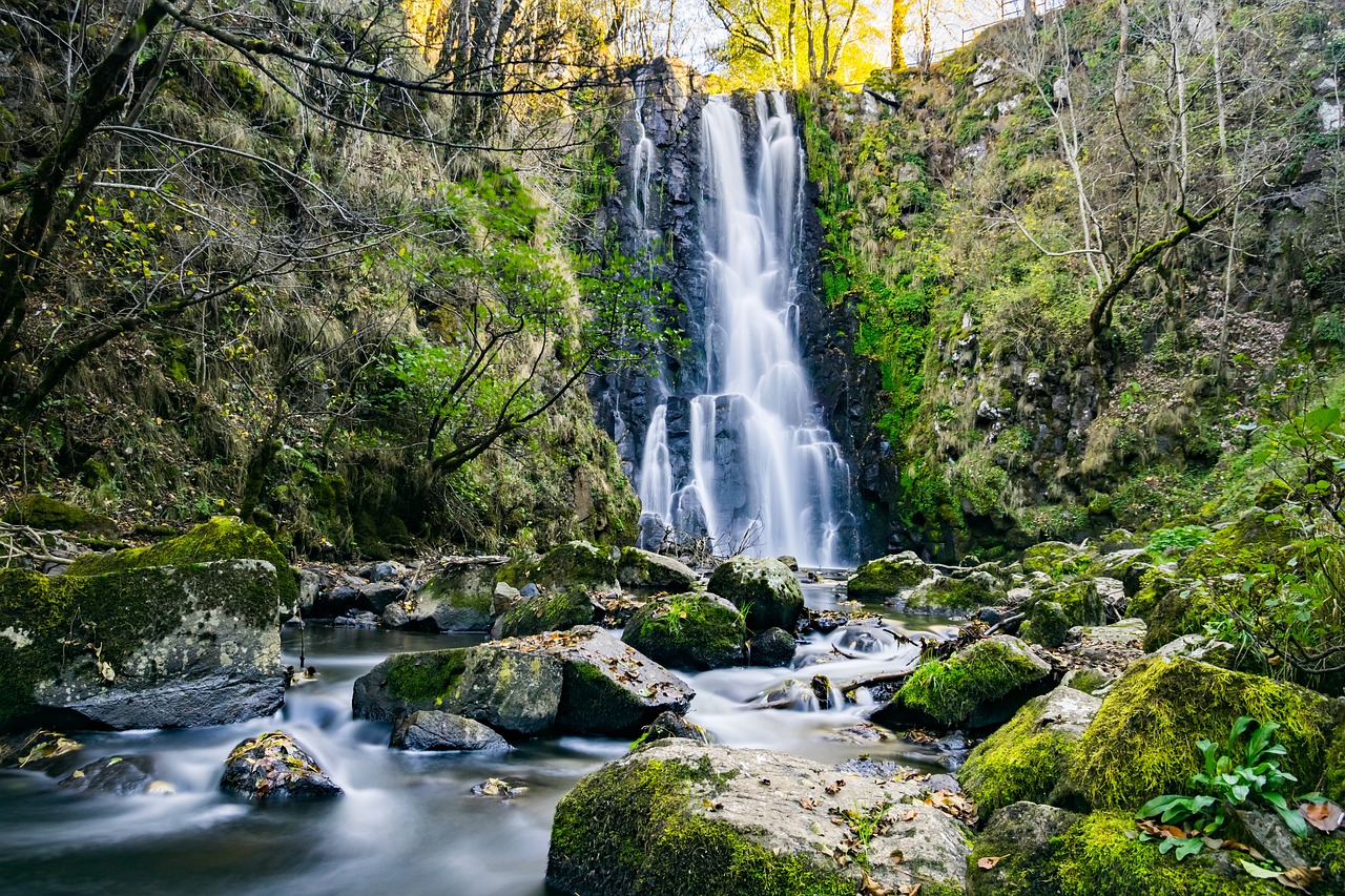 AUVERGNE RHONE ALPES